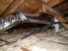 Attic Cleaning